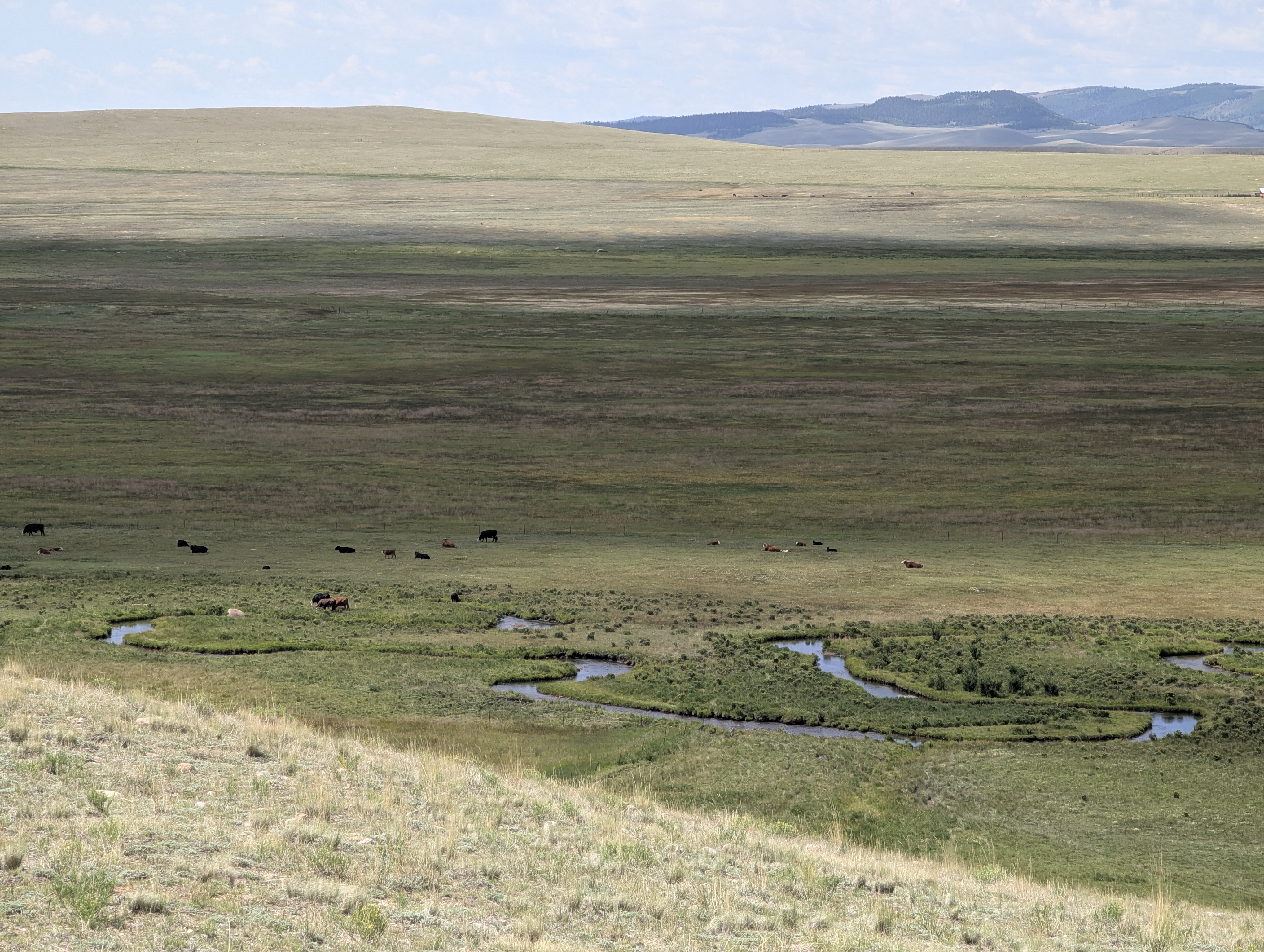 SouthPark, Park County, Jefferson, Colorado